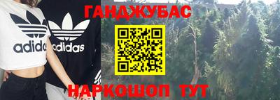 мдпв Новозыбков