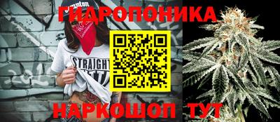 винт Новокубанск