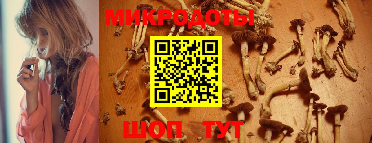 Спасск-Дальний  продажа наркотиков  Вход с VPN  Псилоцибиновые грибы Psilocybine cubensis 